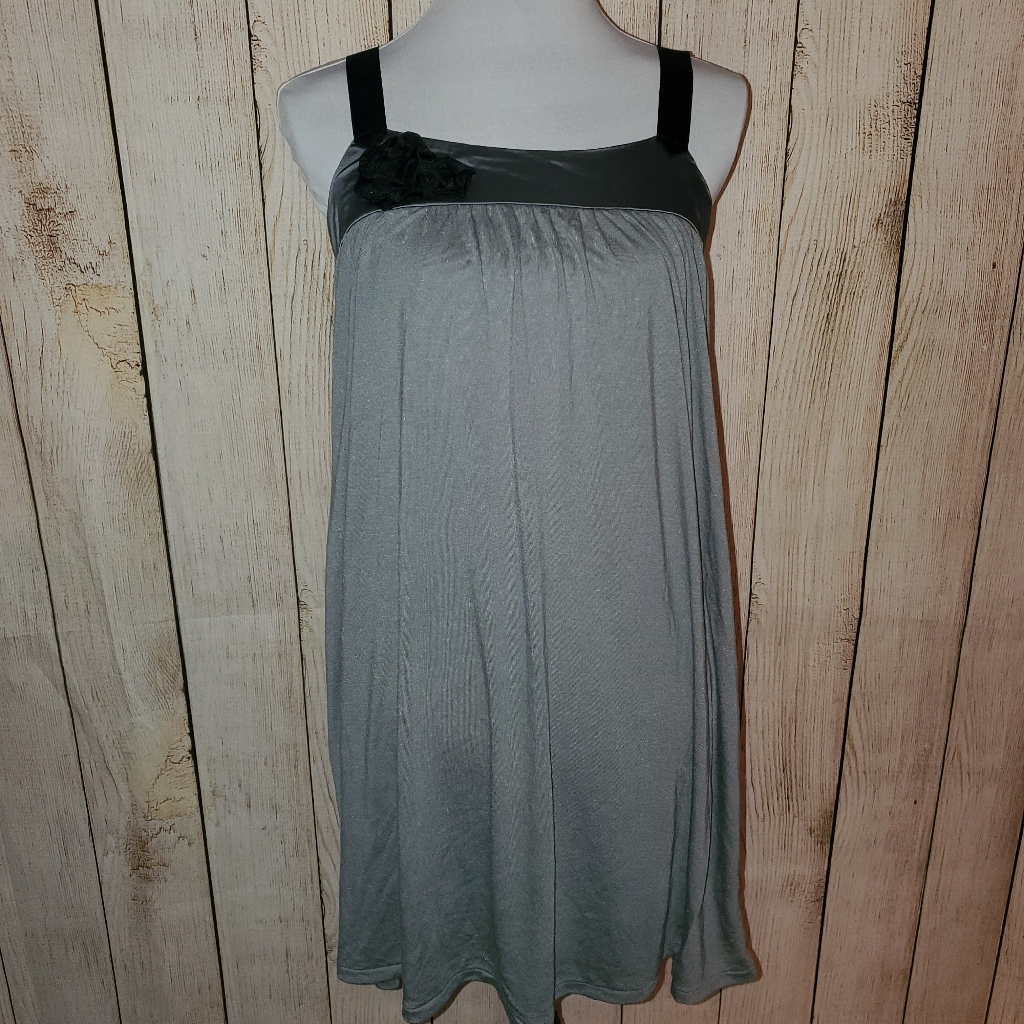 Gray Dress/Tunic